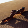 aSS_L910_image-11.jpg